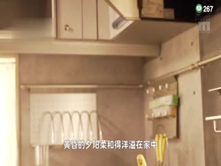 久久久视五月天视频,草草网站视频